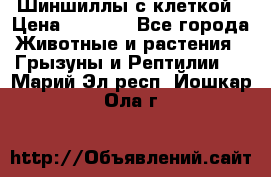 Шиншиллы с клеткой › Цена ­ 8 000 - Все города Животные и растения » Грызуны и Рептилии   . Марий Эл респ.,Йошкар-Ола г.